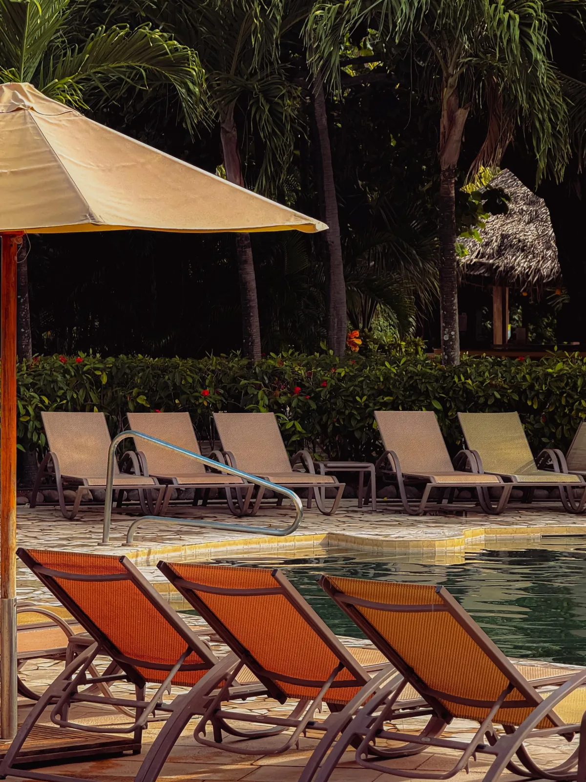 A little slice of pura Vida 📍 Costa Rica