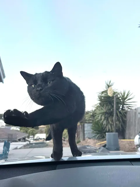 My handsome waiting for me to get out the car 