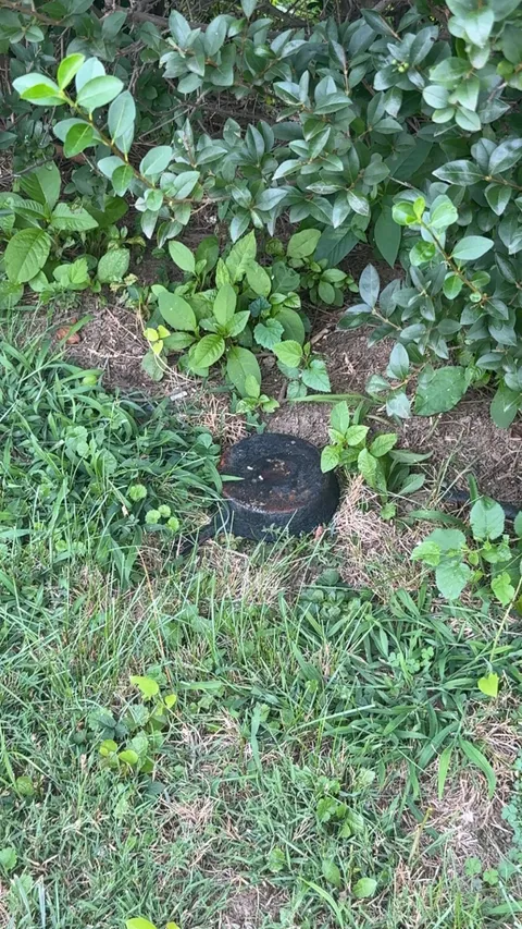 I found a cast iron skillet in my bushes that wasn’t there yesterday