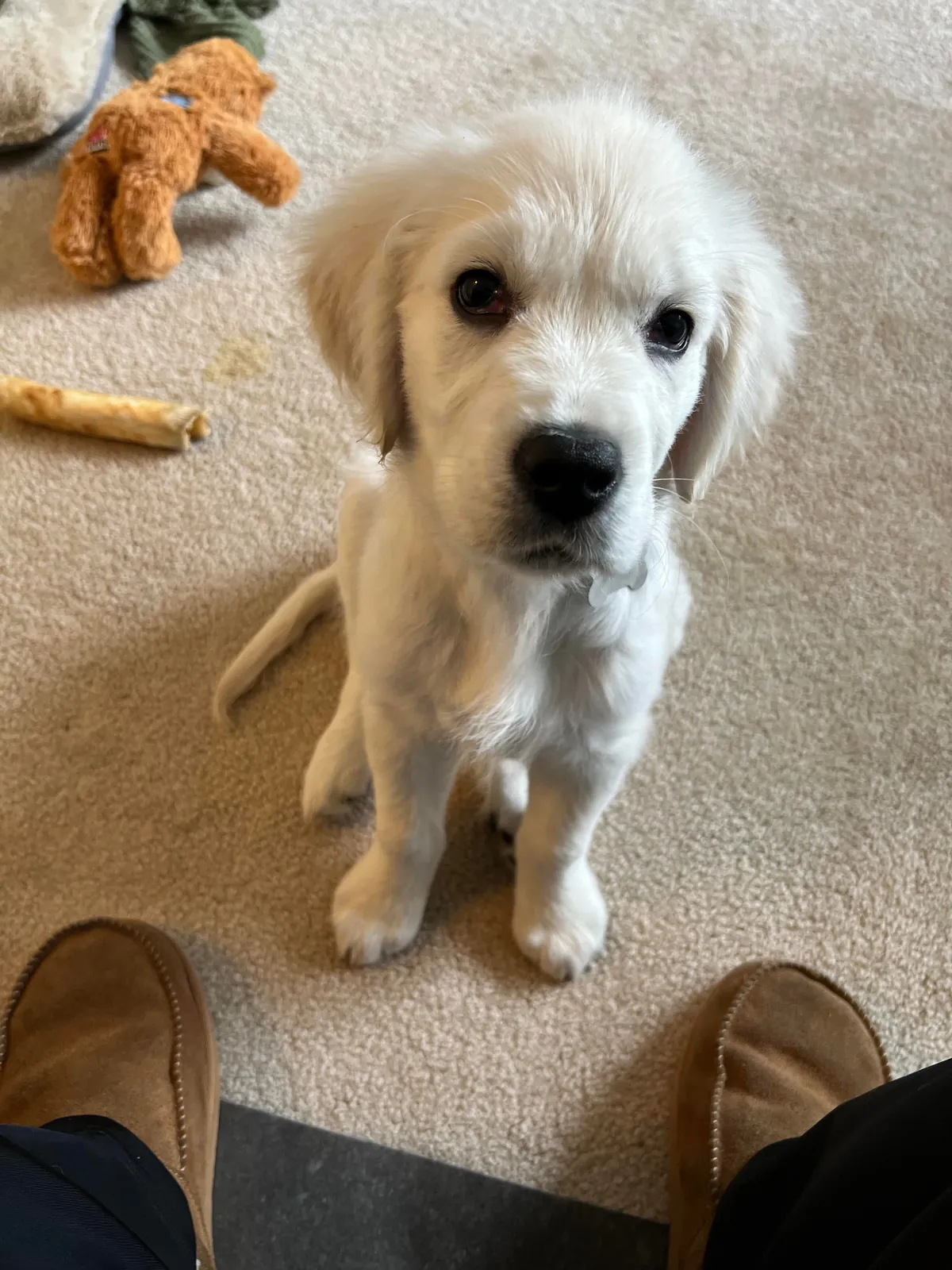 Before/After our 1st bath!