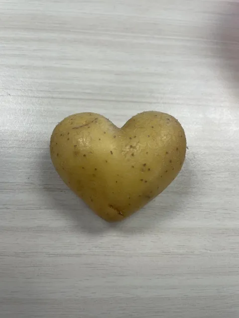 Posted this on another thread but I want to keep sharing the most perfect heart potato that I found 😭 its just so cute