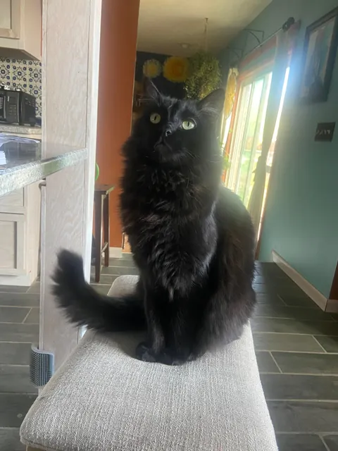 How it started...how it's going