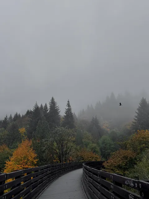 ITAP of the PNW autumn