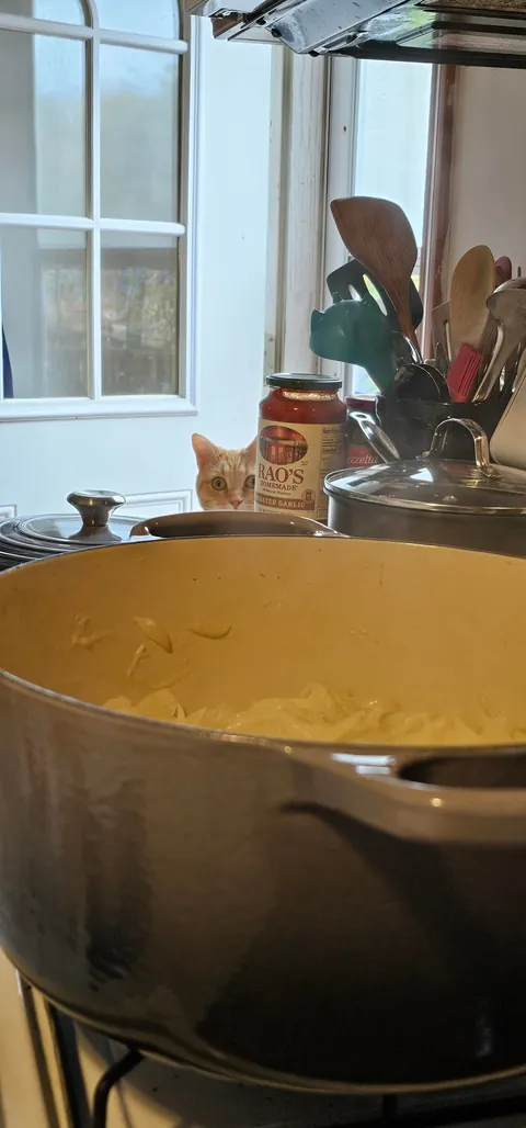 [Homemade] French onion soup.