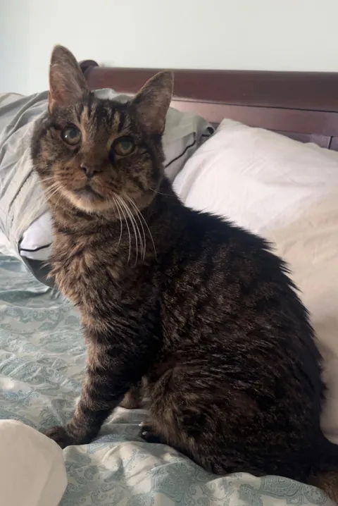 It’s almost my sweet guy’s 20th birthday 🥹