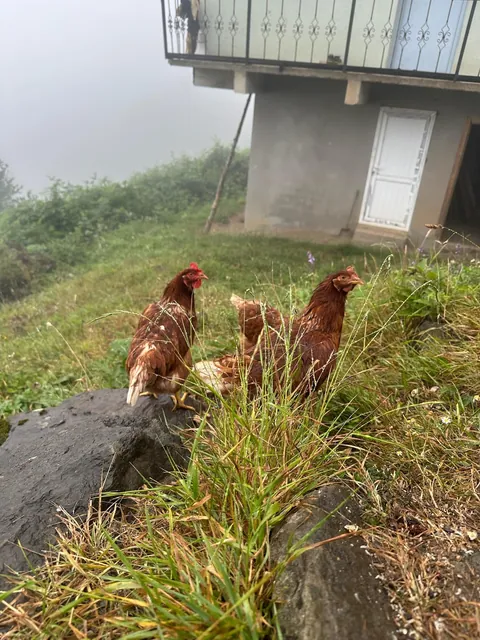 Photos from Northeastern Turkey