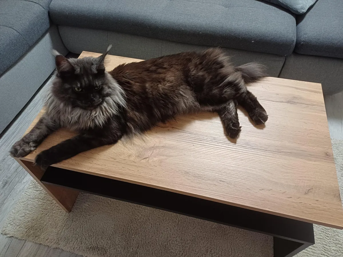 Hi reddit, it's Théoden. Did not see you for a long time