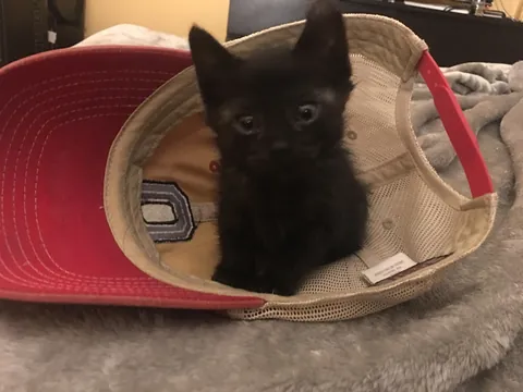 7 years with my Middle Eastern girl