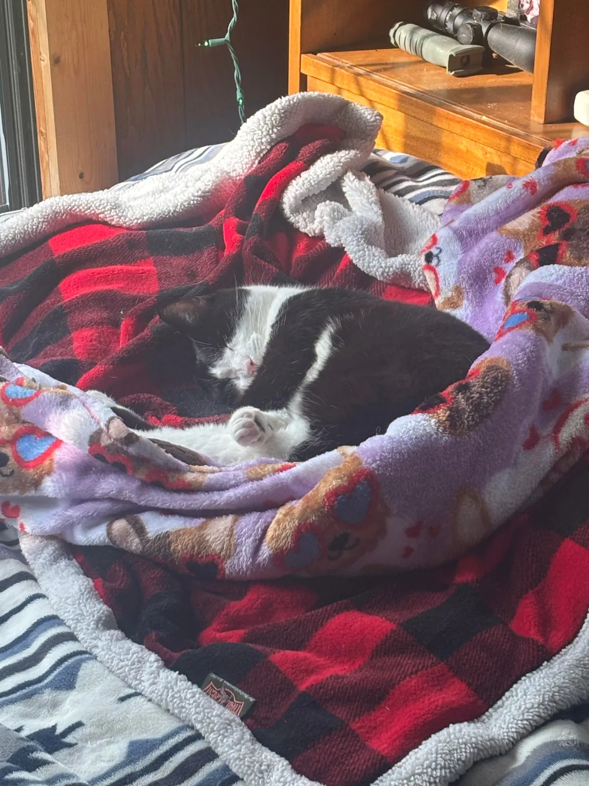 she was my best friend for 16 years…