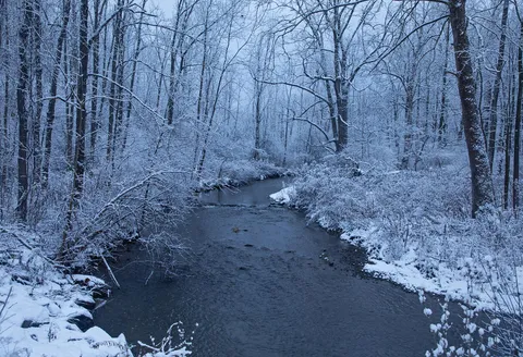 Winter in upstate New York [OC] [2100x1437]