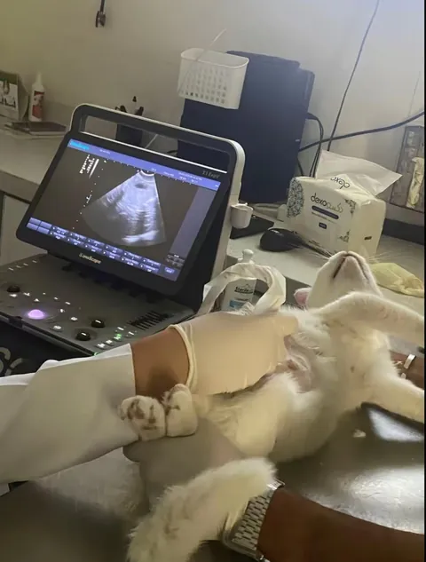 She's in love with a criminal.😛❤️