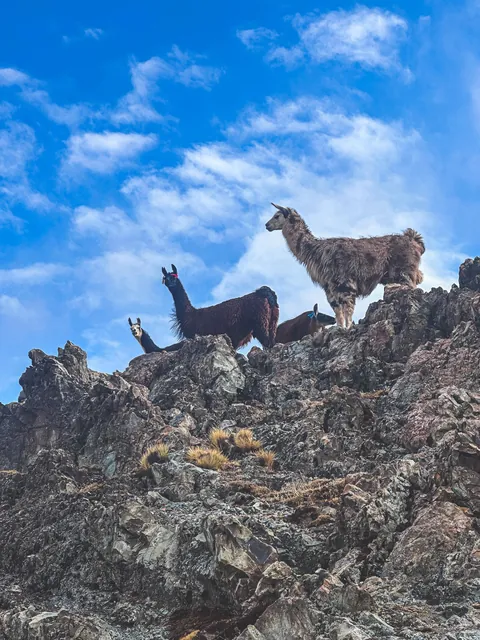 I Just Biked Across the Peruvian Andes