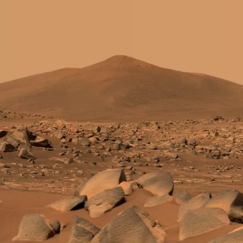 Mars Perseverance Rover captured this image.