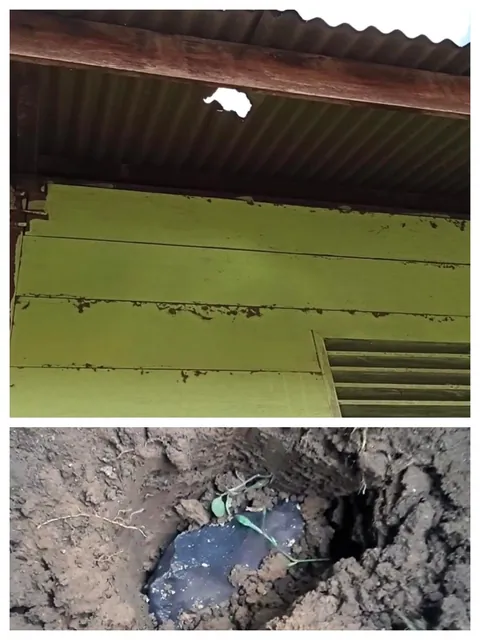 A meteorite punched a hole in his roof and was sold for a fortune