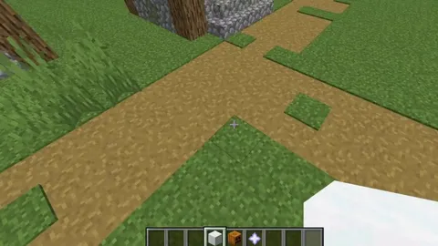 I slightly buffed my snow golem to make my village safer.