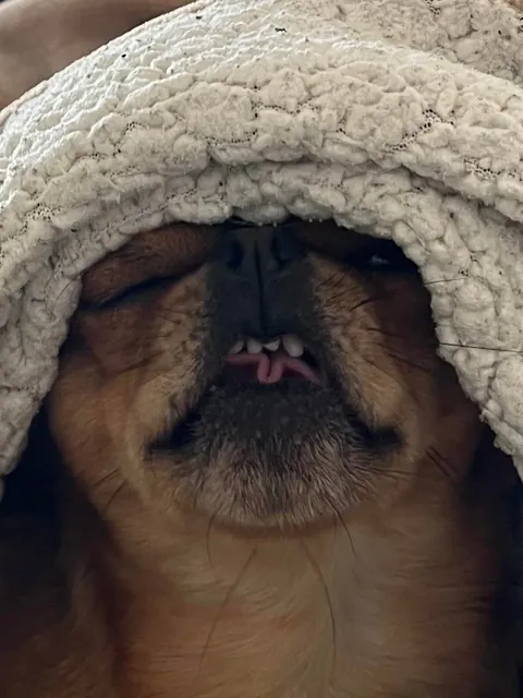 Folks call him DA BOY round these parts, his legal name is Mo