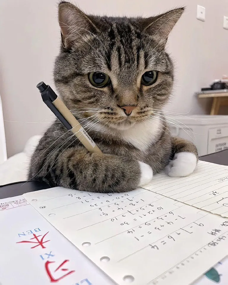 MIT called. They want their professor back