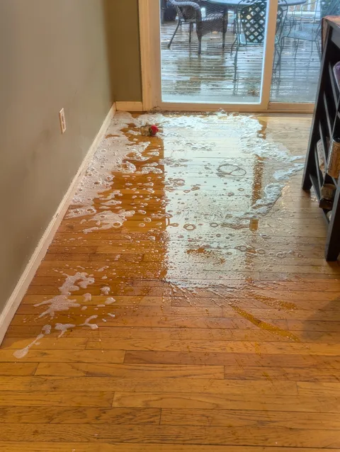 How my wife "mops" the hardwood floors...