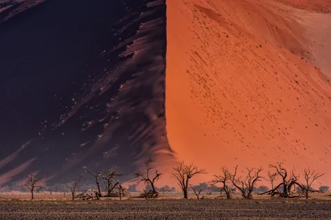 Star Dune 45 In Namibia's Namib Desert