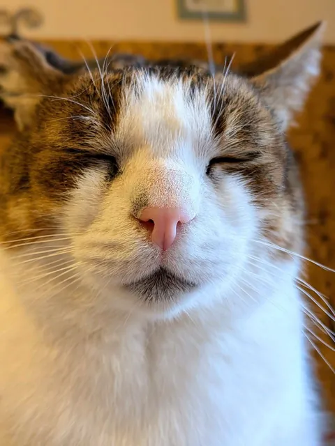 Warming his butt on a pizza box. Living life to the full