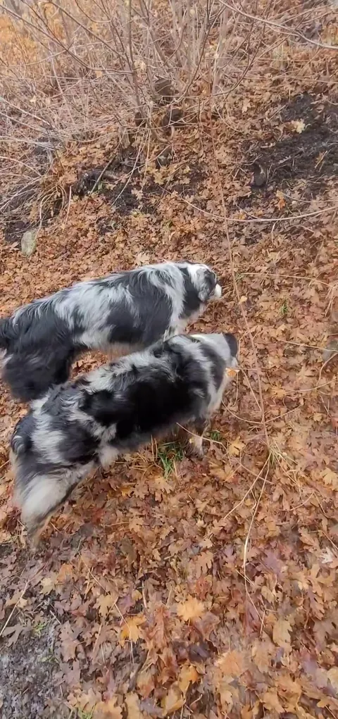 Group grass nibblers 😋😁