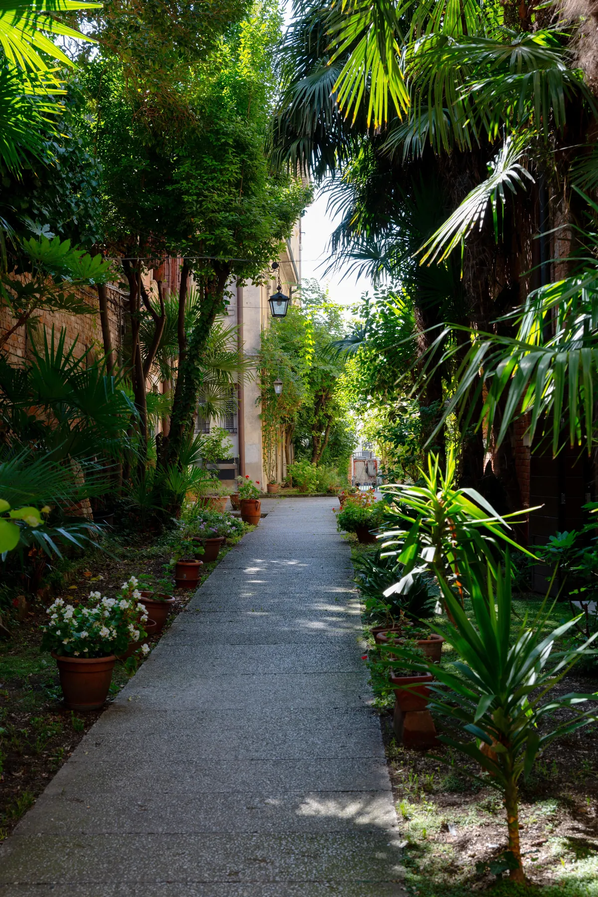 Venice - August 25 (my experience)