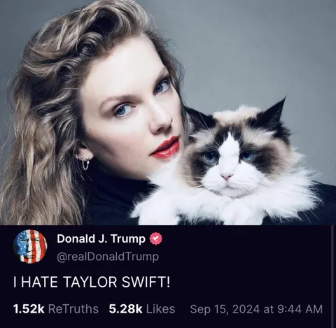 4D chess move to win an election