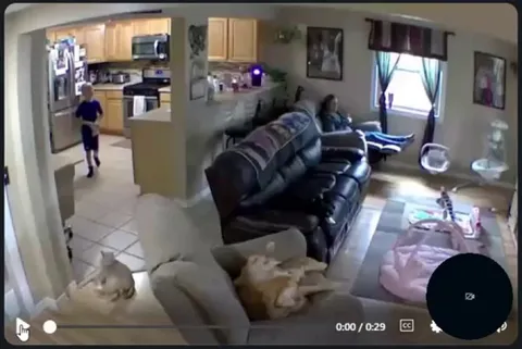 What a reaction - by all animals involved!