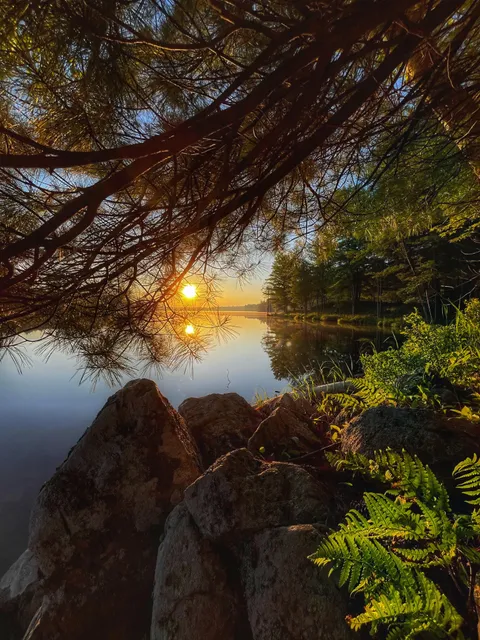 Big Salmon Lake, Ontario Canada [3024x4032] (OC)