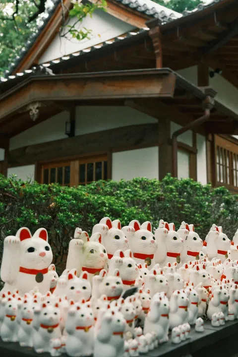 Our First 4 Days in Tokyo 🇯🇵