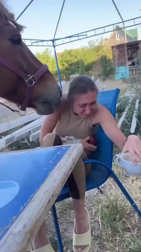 Horse bullies woman for an apple