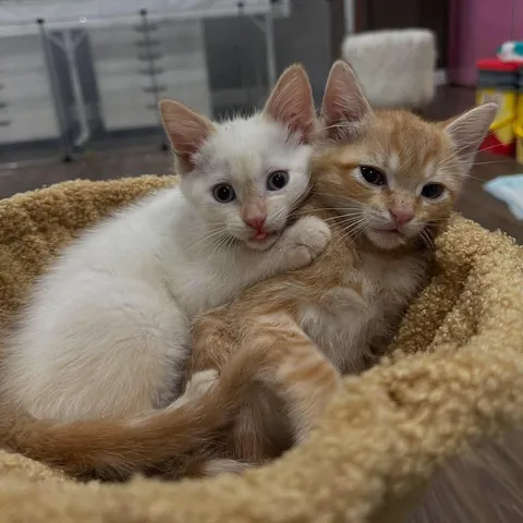 they’re good brothers