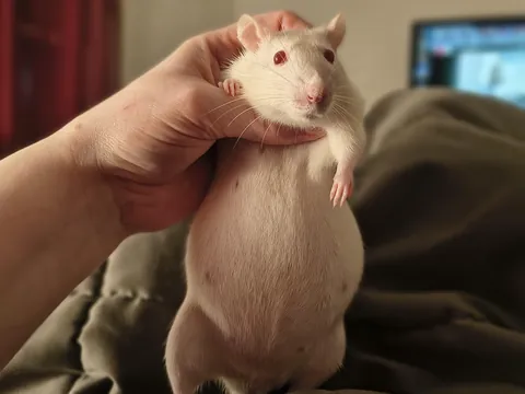 Pippa update: full of so much soup