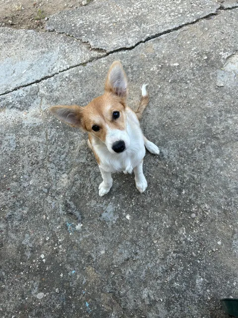 My tiny best friend