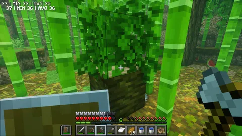 i think me and my friend found the smallest naturally generated tree in minecraft