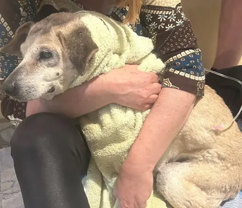 No matter how many years pass. You are still my baby, I will always take care of you ❤️