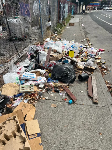 [OC] A lot of trash was on the sidewalk, forcing people onto the road. So I cleaned it.