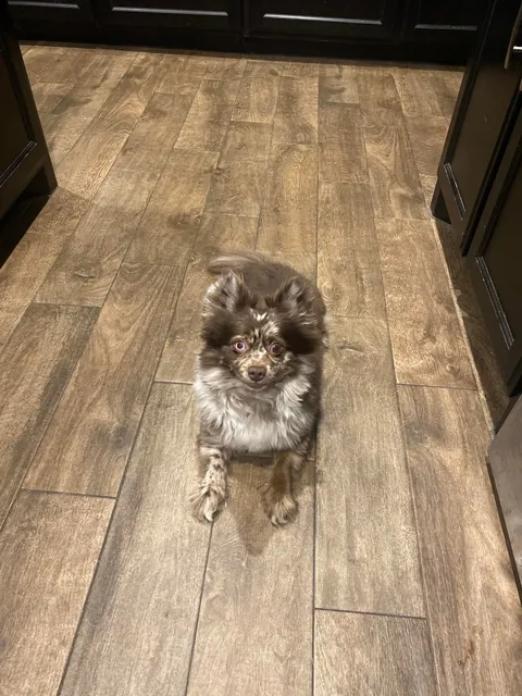 Before and after telling him that he’s so handsomes