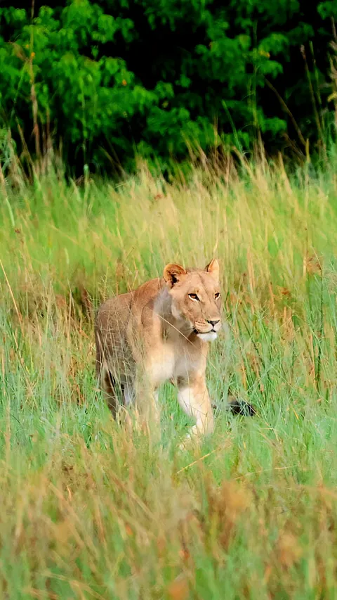 December in Botswana