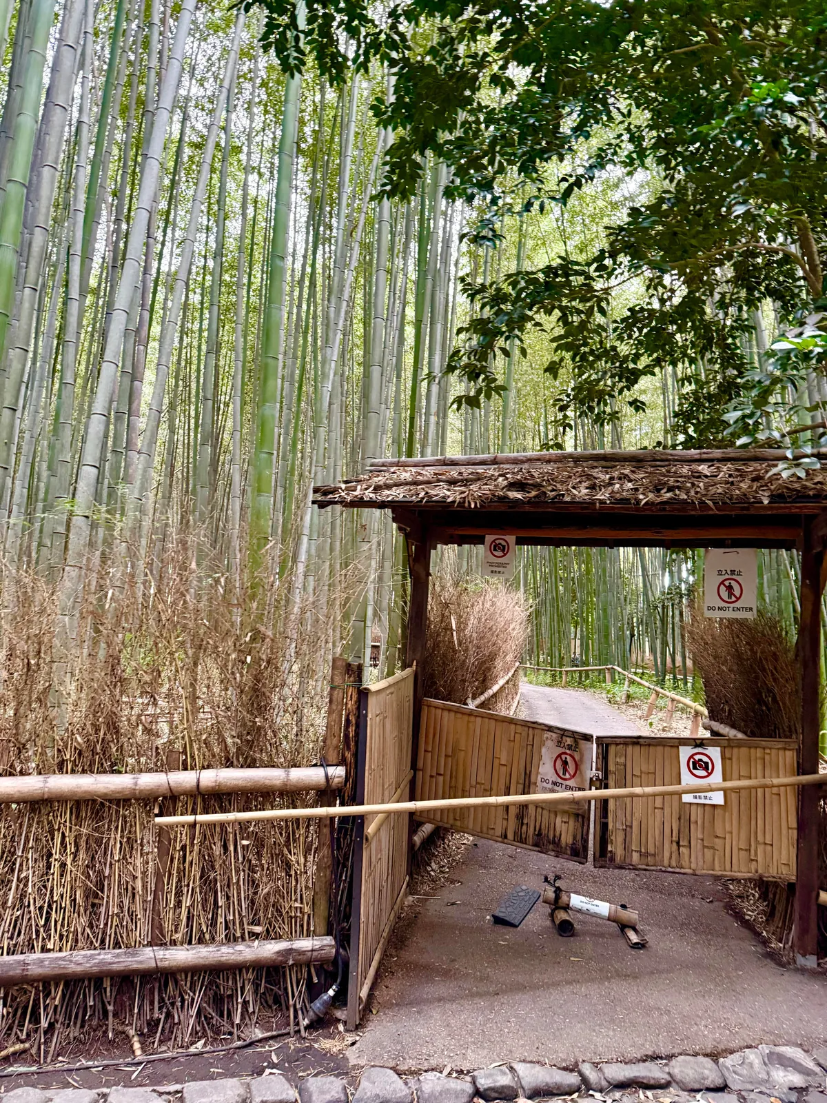 You don’t need 20,000 steps a day or every hyped-up restaurant to enjoy Japan