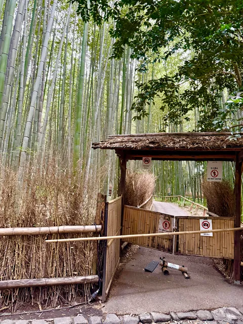 You don’t need 20,000 steps a day or every hyped-up restaurant to enjoy Japan