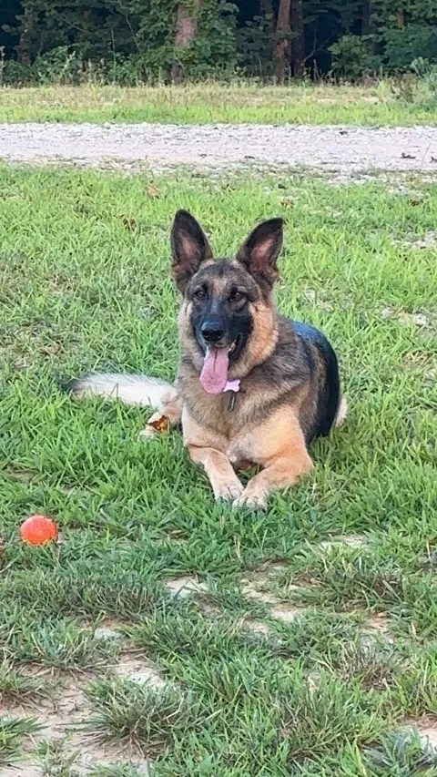 So much change in 5 years 😭