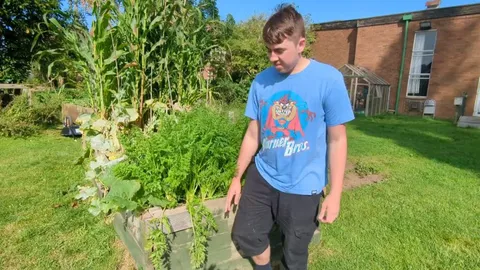 Thoughts on my first carrot pull of the year