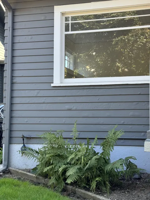 What causes this on exterior paint?