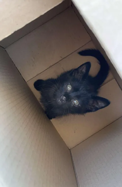 How i found him vs him now