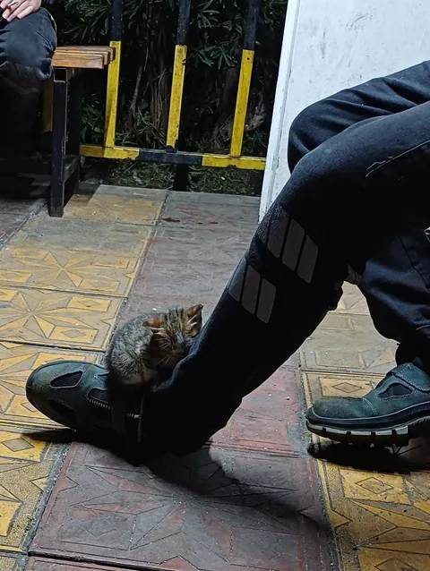 Our blue collar coworker can't handle Nightshift