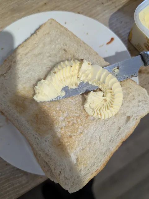 I scraped some margarine for some toast this morning and it looks like a chameleon at rest
