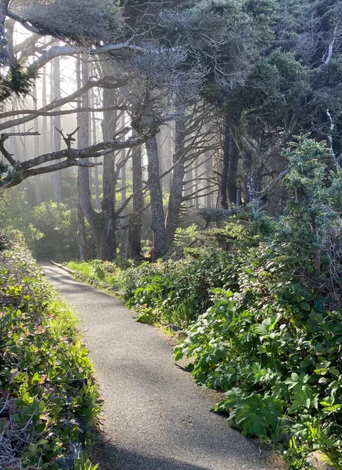 The lighting on this particular morning 