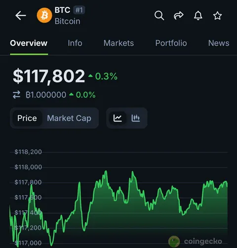 Today, Bitcoin has closed above $100k for 100 days in a row, all hail Bitcoin 👑