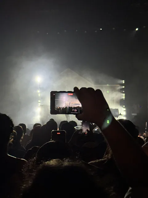 My view the entire concert…